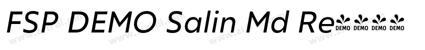 FSP DEMO Salin Md Re字体转换